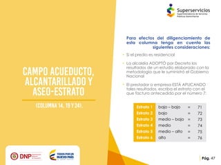 Presentación reporte de la estratificación y coberturas