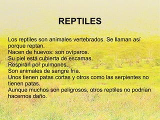 REPTILES ,[object Object]