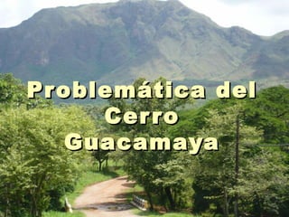 Pr oblemática del
      Cer r o
    Guacamaya
 