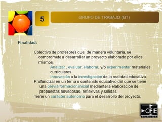 5 GRUPO DE TRABAJO (GT)
 