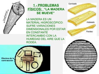 1 - PROBLEMAS
FÍSICOS: “LA MADERA
SE MUEVE”
LA MADERA ES UN
MATERIAL HIGROSCÓPICO:
SUFRE VARIACIONES
DIMENSIONALES POR ESTAR
EN CONSTANTE
INTERCAMBIO CON LA
HUMEDAD DEL AIRE QUE LA
RODEA.
 