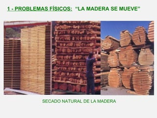 1 - PROBLEMAS FÍSICOS: “LA MADERA SE MUEVE”
SECADO NATURAL DE LA MADERA
 