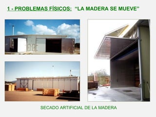 SECADO ARTIFICIAL DE LA MADERA
1 - PROBLEMAS FÍSICOS: “LA MADERA SE MUEVE”
 