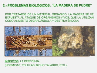 POR TRATARSE DE UN MATERIAL ORGÁNICO, LA MADERA SE VE
EXPUESTA AL ATAQUE DE ORGANISMOS VIVOS, QUE LA UTILIZAN
COMO ALIMENTO DEGRADÁNDOLA Y DESTRUYÉNDOLA.
INSECTOS: LA PERFORAN.
(HORMIGAS, POLILLAS, BICHO TALADRO, ETC.).
2 - PROBLEMAS BIOLÓGICOS: “LA MADERA SE PUDRE”
 