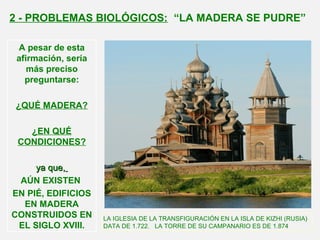 A pesar de esta
afirmación, sería
más preciso
preguntarse:
¿QUÉ MADERA?
¿EN QUÉ
CONDICIONES?
ya que,ya que,
AÚN EXISTEN
EN PIÉ, EDIFICIOS
EN MADERA
CONSTRUIDOS EN
EL SIGLO XVIII.
LA IGLESIA DE LA TRANSFIGURACIÓN EN LA ISLA DE KIZHI (RUSIA)
DATA DE 1.722. LA TORRE DE SU CAMPANARIO ES DE 1.874
2 - PROBLEMAS BIOLÓGICOS: “LA MADERA SE PUDRE”
 