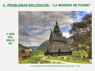 LA IGLESIA DE HOPPERSTAD (SUECIA) DATA DE 1.130
2 - PROBLEMAS BIOLÓGICOS: “LA MADERA SE PUDRE”
Y AÚN
DEL
SIGLO
XII.
 