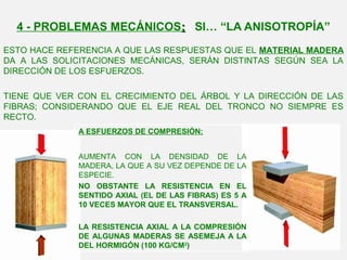 4 - PROBLEMAS MECÁNICOS:: SI… “LA ANISOTROPÍA”
ESTO HACE REFERENCIA A QUE LAS RESPUESTAS QUE EL MATERIAL MADERA
DA A LAS SOLICITACIONES MECÁNICAS, SERÁN DISTINTAS SEGÚN SEA LA
DIRECCIÓN DE LOS ESFUERZOS.
TIENE QUE VER CON EL CRECIMIENTO DEL ÁRBOL Y LA DIRECCIÓN DE LAS
FIBRAS; CONSIDERANDO QUE EL EJE REAL DEL TRONCO NO SIEMPRE ES
RECTO.
A ESFUERZOS DE COMPRESIÓN:
AUMENTA CON LA DENSIDAD DE LA
MADERA, LA QUE A SU VEZ DEPENDE DE LA
ESPECIE.
NO OBSTANTE LA RESISTENCIA EN EL
SENTIDO AXIAL (EL DE LAS FIBRAS) ES 5 A
10 VECES MAYOR QUE EL TRANSVERSAL.
LA RESISTENCIA AXIAL A LA COMPRESIÓN
DE ALGUNAS MADERAS SE ASEMEJA A LA
DEL HORMIGÓN (100 KG/CM2
)
 