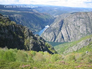 Canón do Sil/Ribeira Sacra
 