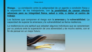 Riesgo Laboral.
Riesgo.- La correlación entre la peligrosidad de un agente o condición física y
la exposición de los trabajadores, con la posibilidad de causar efectos
adversos para su integridad física, salud o vida, o dañar al centro de
trabajo.
Los factores que componen el riesgo son la amenaza y la vulnerabilidad. La
capacidad de superar la amenaza y la vulnerabilidad se llama resiliencia.
La resiliencia es una aptitud que adoptan algunos individuos que se caracterizan
por su postura ante la superación de una adversidad y de mucho estrés, con el
fin de pensar en un mejor futuro.
 