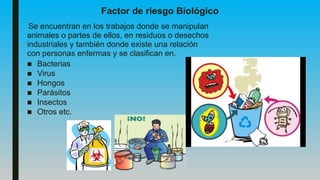 Factor de riesgo Biológico
Se encuentran en los trabajos donde se manipulan
animales o partes de ellos, en residuos o desechos
industriales y también donde existe una relación
con personas enfermas y se clasifican en.
■ Bacterias
■ Virus
■ Hongos
■ Parásitos
■ Insectos
■ Otros etc.
 