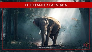 EL ELEFANTEY LA ESTACA
www.martagarcia.tv
 