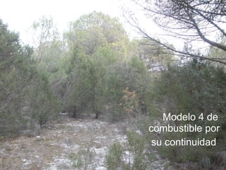 Modelo 4 de combustible por su continuidad