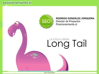 RODRIGO GONZÁLEZ JORQUERA
    Director de Proyectos
    Posicionamiento.cl




Long Tail
LA COLA LARGA
 