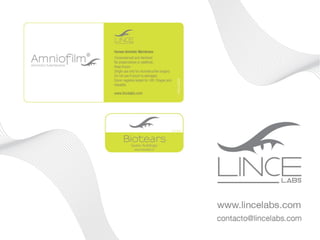 Conectar y Desarrollar
 