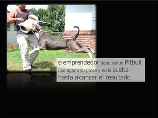 Elemprendedor debe ser un Pitbull,
que agarra su presa y no la suelta
hasta alcanzar el resultado
 