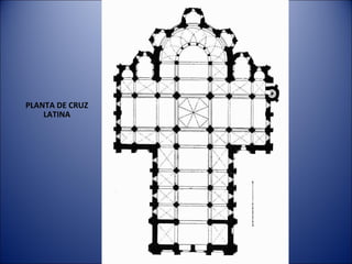 PLANTA DE CRUZ LATINA 