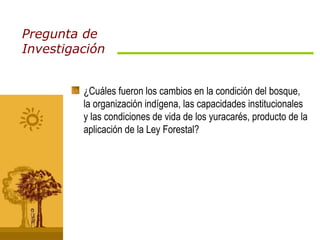 Pregunta de Investigación ¿Cuáles fueron los cambios en la condición del bosque, la organización indígena, las capacidades institucionales y las condiciones de vida de los yuracarés, producto de la aplicación de la Ley Forestal? 