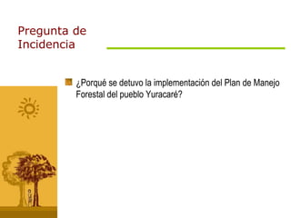 Pregunta de Incidencia ¿Porqué se detuvo la implementación del Plan de Manejo Forestal del pueblo Yuracaré? 