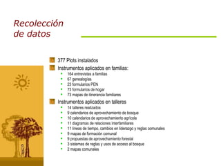 Recolección de datos 377 Plots instalados  Instrumentos aplicados en familias: 164 entrevistas a familias 67 genealogías 23 formularios PEN 73 formularios de hogar 73 mapas de itinerancia familiares Instrumentos aplicados en talleres 14 talleres realizados 9 calendarios de aprovechamiento de bosque 10 calendarios de aprovechamiento agrícola 11 diagramas de relaciones interfamiliares 11 líneas de tiempo, cambios en liderazgo y reglas comunales 9 mapas de formación comunal 9 propuestas de aprovechamiento forestal 3 sistemas de reglas y usos de acceso al bosque 2 mapas comunales 