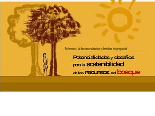 Reformas a la descentralización y derechos de propiedad Potencialidades  y  desafíos para la   sostenibilidad de los  recursos  del  bosque 