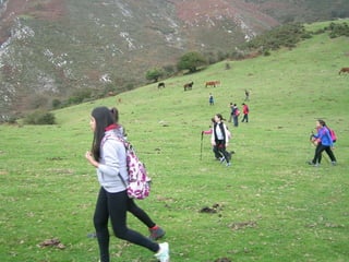 Senderismo por el Sueve 2º ESO. (Noviembre 2013)