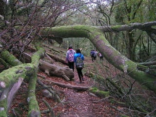 Senderismo por el Sueve 2º ESO. (Noviembre 2013)