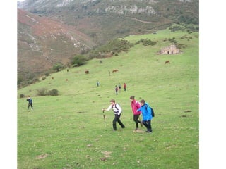 Senderismo por el Sueve 2º ESO. (Noviembre 2013)