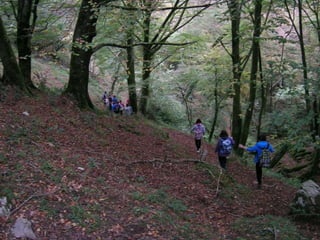 Senderismo por el Sueve 2º ESO. (Noviembre 2013)