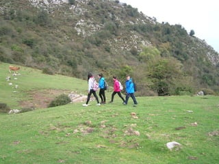 Senderismo por el Sueve 2º ESO. (Noviembre 2013)