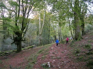 Senderismo por el Sueve 2º ESO. (Noviembre 2013)