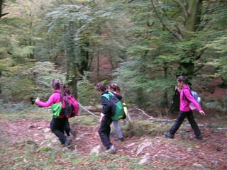 Senderismo por el Sueve 2º ESO. (Noviembre 2013)