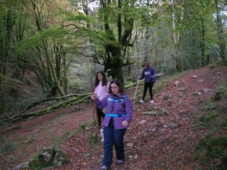 Senderismo por el Sueve 2º ESO. (Noviembre 2013)