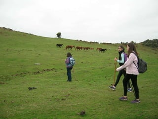 Senderismo por el Sueve 2º ESO. (Noviembre 2013)