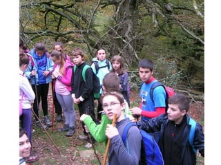 Senderismo por el Sueve 2º ESO. (Noviembre 2013)