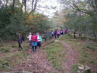 Senderismo por el Sueve 2º ESO. (Noviembre 2013)