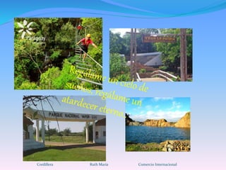Cordillera Ruth María Comercio Internacional
 