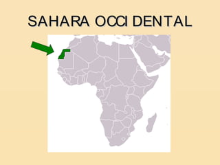 SAHARA OCCI DENTAL
 