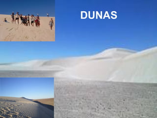 DUNAS
 