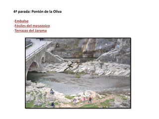 4ª parada: Pontón de la Oliva
-Embalse
-Fósiles del mesozoico
-Terrazas del Jarama
 