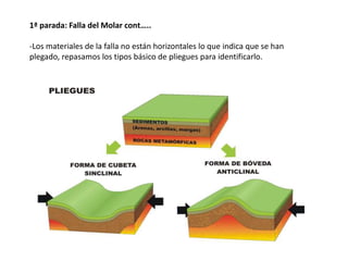 1ª parada: Falla del Molar cont…..
-Los materiales de la falla no están horizontales lo que indica que se han
plegado, repasamos los tipos básico de pliegues para identificarlo.
 