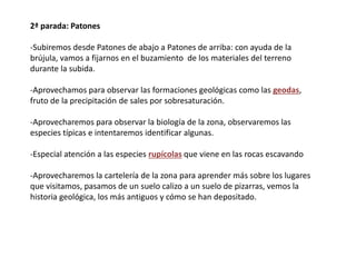 2ª parada: Patones
-Subiremos desde Patones de abajo a Patones de arriba: con ayuda de la
brújula, vamos a fijarnos en el buzamiento de los materiales del terreno
durante la subida.
-Aprovechamos para observar las formaciones geológicas como las geodas,
fruto de la precipitación de sales por sobresaturación.
-Aprovecharemos para observar la biología de la zona, observaremos las
especies típicas e intentaremos identificar algunas.
-Especial atención a las especies rupícolas que viene en las rocas escavando
-Aprovecharemos la cartelería de la zona para aprender más sobre los lugares
que visitamos, pasamos de un suelo calizo a un suelo de pizarras, vemos la
historia geológica, los más antiguos y cómo se han depositado.
 