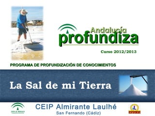 Curso 2012/2013


PROGRAMA DE PROFUNDIZACIÓN DE CONOCIMIENTOS




La Sal de mi Tierra
          CEIP Almirante Laulhé
                  San Fernando (Cádiz)
 