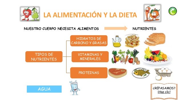 Salud Dieta E Higiene