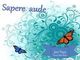 Javi Paya
Curso 2010-2011
 