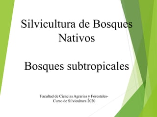 Silvicultura de Bosques
Nativos
Bosques subtropicales
Facultad de Ciencias Agrarias y Forestales-
Curso de Silvicultura 2020
 