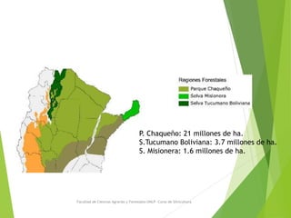 Facultad de Ciencias Agrarias y Forestales-UNLP- Curso de Silvicultura
P. Chaqueño: 21 millones de ha.
S.Tucumano Bolivian...