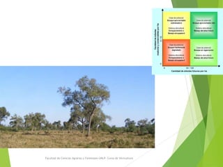 Facultad de Ciencias Agrarias y Forestales-UNLP- Curso de Silvicultura
Superficie de Bosque Nativo
declarada:
Categoría I ...