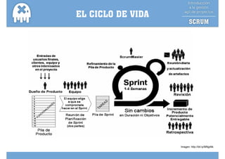 EL CICLO DE VIDA




                   Imagen: http://bit.ly/MNjpNk
 