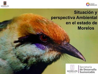 Situación y
perspectiva Ambiental
en el estado de
Morelos
 