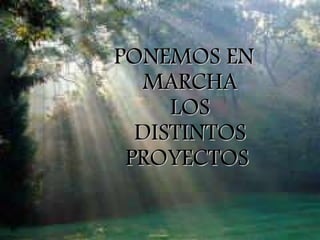 PONEMOS EN MARCHA LOS DISTINTOS PROYECTOS   